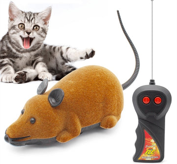 Remote Controlled RC Rat Simulation